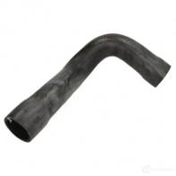 Патрубок радиатора, шланг THERMOTEC 1264264157 5901655105094 2 2QW96 dwb038tt
