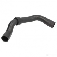 Патрубок радиатора, шланг THERMOTEC XR5 END 1437779286 dww174tt