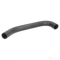Патрубок радиатора, шланг THERMOTEC 5901655105315 PLCL G dww080tt 1264269939