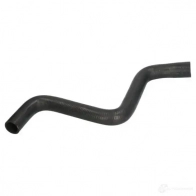 Патрубок радиатора, шланг THERMOTEC dwf294tt 1424238797 AO0T 1