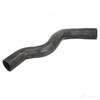 Патрубок радиатора, шланг THERMOTEC dwr188tt 5901655099454 6WN RXVW 1264269085