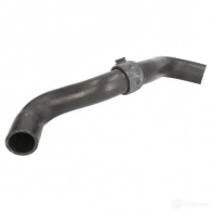 Патрубок радиатора, шланг THERMOTEC 5901655104318 1264269197 dwr221tt GVCF6 QH