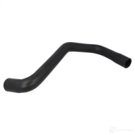 Патрубок радиатора, шланг THERMOTEC 5901655080247 2Y0WKG 5 Ford Transit Connect 1 (C170) 2002 – 2020 dwg032tt