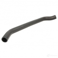 Патрубок радиатора, шланг THERMOTEC BDO VEU1 dww299tt 1437818522