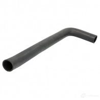 Патрубок радиатора, шланг THERMOTEC 1437818370 dwf300tt 7 GY81H