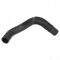 Патрубок радиатора, шланг THERMOTEC dwg093tt 0ROB O 1437819163