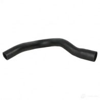 Патрубок радиатора, шланг THERMOTEC dwf062tt 3391395 Z7G M3I 5901655078367
