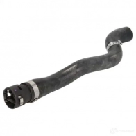 Патрубок радиатора, шланг THERMOTEC FF6 55 5901655101102 dnr055tt Renault Kangoo 1 (KC, FC) 1997 – 2007