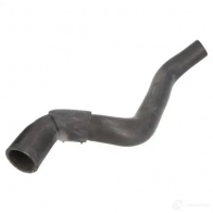 Патрубок радиатора, шланг THERMOTEC dwr164tt 1264269023 5901655097047 QRYQ JYC