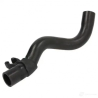 Патрубок радиатора, шланг THERMOTEC dwr195tt Renault Kangoo 1 (KC, FC) 1997 – 2007 5901655103229 S W4GY