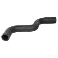 Патрубок радиатора, шланг THERMOTEC 5901655078459 dwf077tt 3391410 EY F667