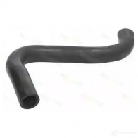 Патрубок радиатора, шланг THERMOTEC 5901655072464 dwf080tt NRO3 NS2 3391413