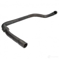 Патрубок радиатора, шланг THERMOTEC dwp086tt 1264268263 W89 GTKL 5901655103878
