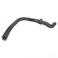 Патрубок радиатора, шланг THERMOTEC 5901655104127 1264269149 dwr208tt 39ZIH3 R