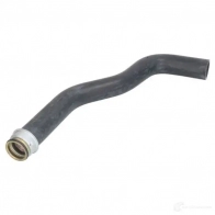Патрубок радиатора, шланг THERMOTEC 1264264981 5901655100112 dwc104tt 92SM8 Y
