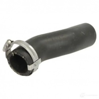 Патрубок радиатора, шланг THERMOTEC LP 8MED 1264264099 dwb016tt 5901655135879