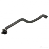 Патрубок радиатора, шланг THERMOTEC 1424238773 J KAGTO dwb175tt 5901655134827