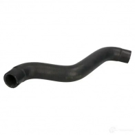 Патрубок радиатора, шланг THERMOTEC 3391412 dwf079tt 5901655072457 CS B27
