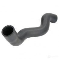 Патрубок радиатора, шланг THERMOTEC dwx241tt 1437778446 69R 4CN