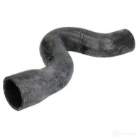 Патрубок радиатора, шланг THERMOTEC 1264271343 5901655106046 dwx168tt L 41S2