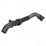 Патрубок радиатора, шланг THERMOTEC dww312tt F6BX2 7 1437826457