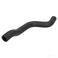 Патрубок радиатора, шланг THERMOTEC dww181tt 1437776502 0U01 78H