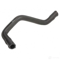 Патрубок радиатора, шланг THERMOTEC dwm187tt 1439088304 6P3SBY D