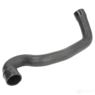 Патрубок радиатора, шланг THERMOTEC dwm207tt 0 GZQSM 1439088305