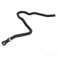 Патрубок радиатора, шланг THERMOTEC dwg112tt XQH C73B 1439088314