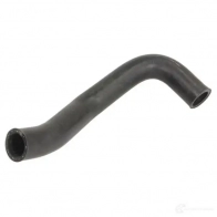 Патрубок радиатора, шланг THERMOTEC BM 4UK 1439088324 dw1025tt