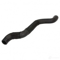 Патрубок радиатора, шланг THERMOTEC dwf321tt 1439088344 Q8 9J8