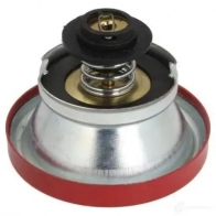 Крышка радиатора THERMOTEC D AEMV3E 1438012686 d30008tt - Изображение 2