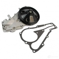 Водяной насос, помпа THERMOTEC d1r018tt PPAQ V Renault Twingo (C06) 1 Хэтчбек 1.2 (C063. C064) 55 л.с. 1993 – 1996 5901655044690