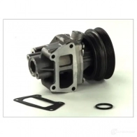 Водяной насос, помпа THERMOTEC d1f054tt 5901655044478 NM5 7V 3388425 - Изображение 2