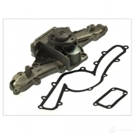 Водяной насос, помпа THERMOTEC 5901655058444 d1d016tt A4P WD 3388407 - Изображение 1