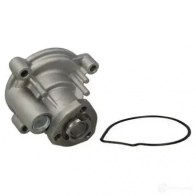 Водяной насос, помпа THERMOTEC 3388598 d1w056tt UK 3KQP 5901655091267 - Изображение 2