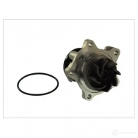 Водяной насос, помпа THERMOTEC AIWG F3U 5901655058475 d1g033tt 3388449 - Изображение 2