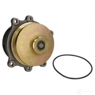 Водяной насос, помпа THERMOTEC wpiv112 3393137 5901655091915 WSVM O - Изображение 2