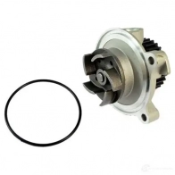 Водяной насос, помпа THERMOTEC 5901655044379 Audi A6 (C4) 1 1994 – 1997 DQ 94WD d1a013tt