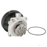 Водяной насос, помпа THERMOTEC d1f065tt Fiat Palio DLF RV6F 5901655044508