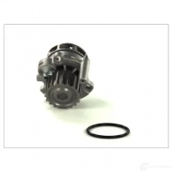 Водяной насос, помпа THERMOTEC 5901655047509 3388371 S R6F0R d1a023tt - Изображение 2