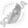 Фонарь поворотника SOMORA 1218819967 080114A 80EMK CXX9J HR