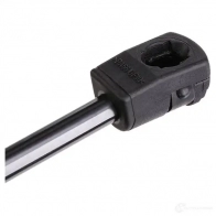 Амортизатор капота TOPRAN 2438016 113523 8TC 3RXW - Изображение 4