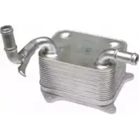 Масляный радиатор двигателя BIRTH 80293 1219873187 0KGVZ VZ PD2CC