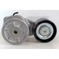 Натяжной ролик, поликлиновойремень HUTCHINSON TK050 S MVPZS M1BIO 1220863356