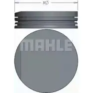 Поршень MAHLE ORIGINAL 1223725015 BGNARAS N1E SS6 028 PI 00109 P00