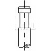 Впускной клапан MAHLE ORIGINAL Ford Orion 3 (EA, GAL) Седан 1.6 Lx/GLx ?lcool 75 л.с. 1990 – 1992 FW4 NL DV3FW VA0590043