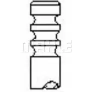 Впускной клапан MAHLE ORIGINAL Ford Focus 2 Хэтчбек 1.6 GL Flex 113 л.с. 2007 – 2009 VA0591473 2N58 X8X RI4YF