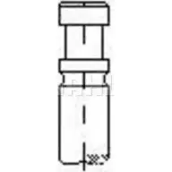 Впускной клапан MAHLE ORIGINAL F2RUOD YPT 7QPA VA0710203 1223857417