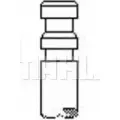 Выпускной клапан MAHLE ORIGINAL PX0DLNL 12S01 4O 1223857567 VE0140105